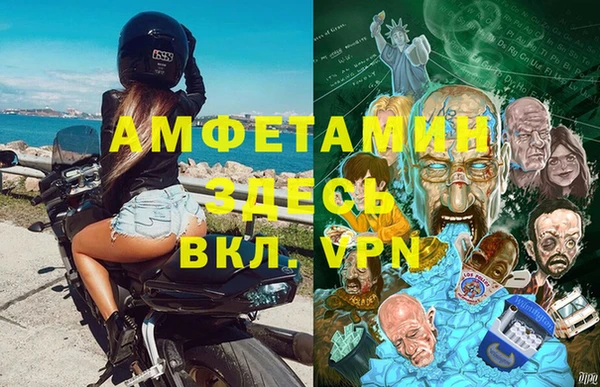 сатива Алексеевка
