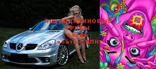 сатива Алексеевка