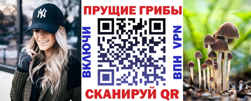 blacksprut ССЫЛКА  Николаевск-на-Амуре  Галлюциногенные грибы прущие грибы 